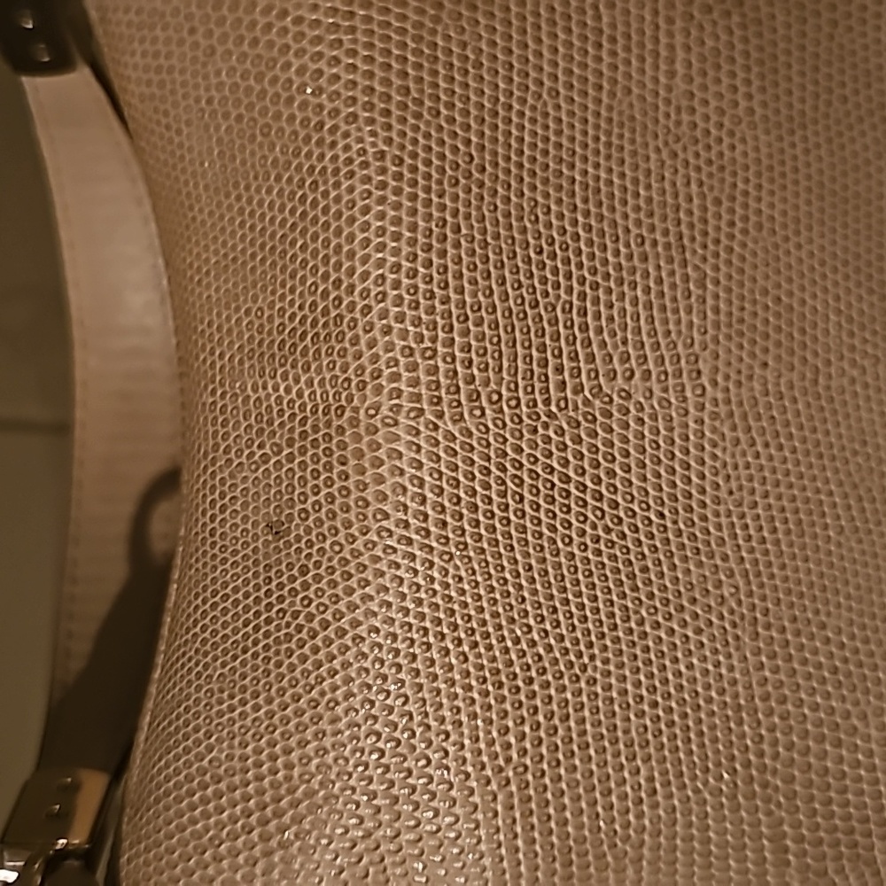 Coach Purse - Picture 4 of 13